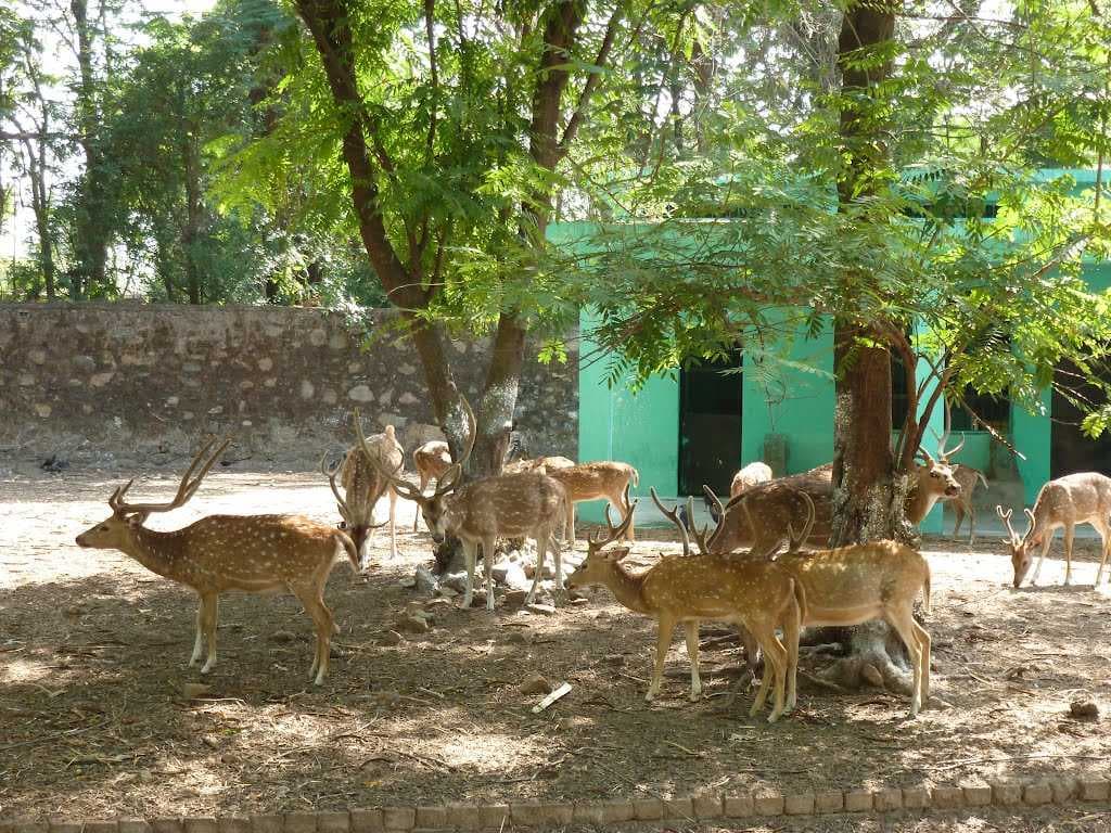 Jamshedpur