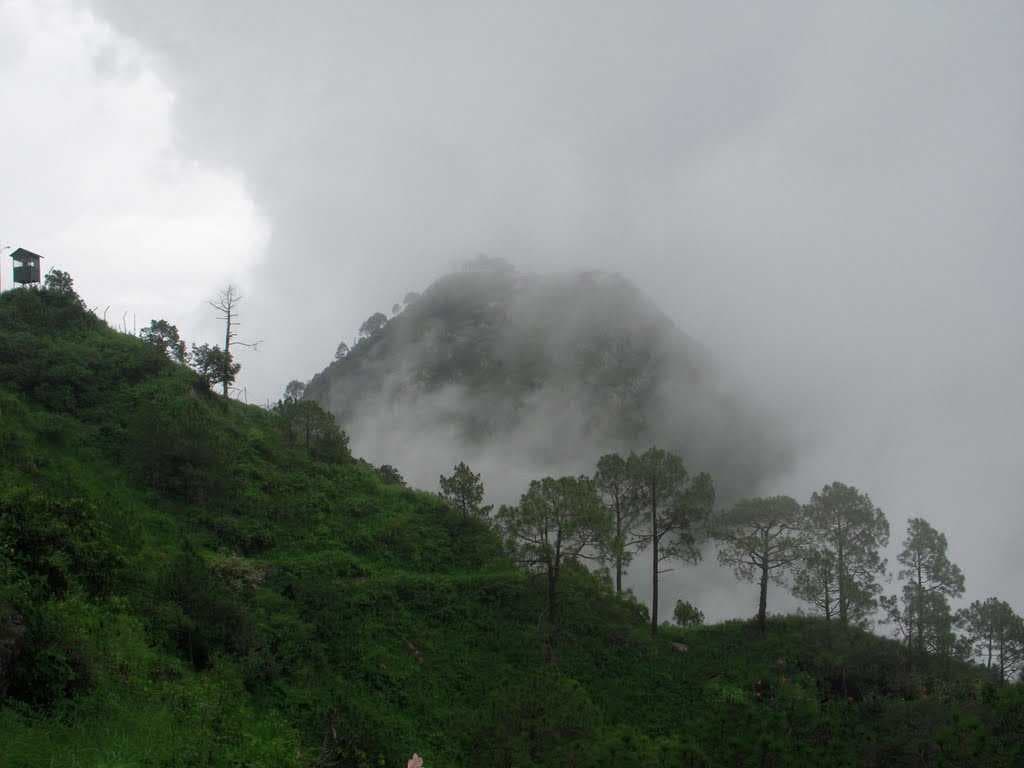 Kasauli