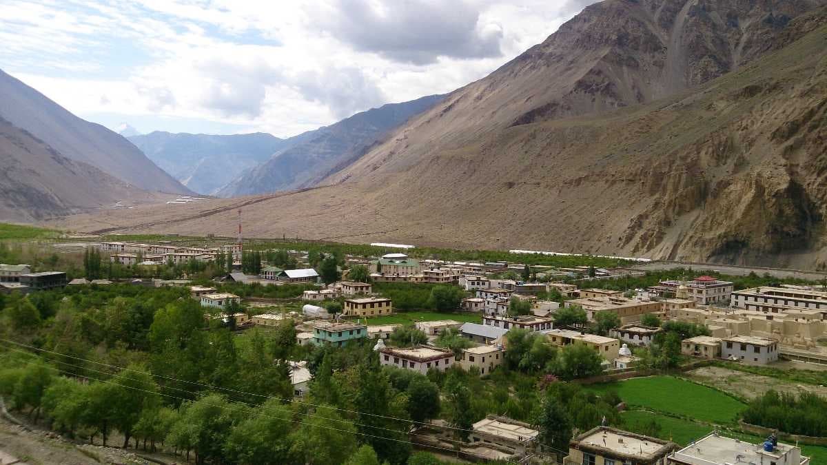 Picture of Tabo