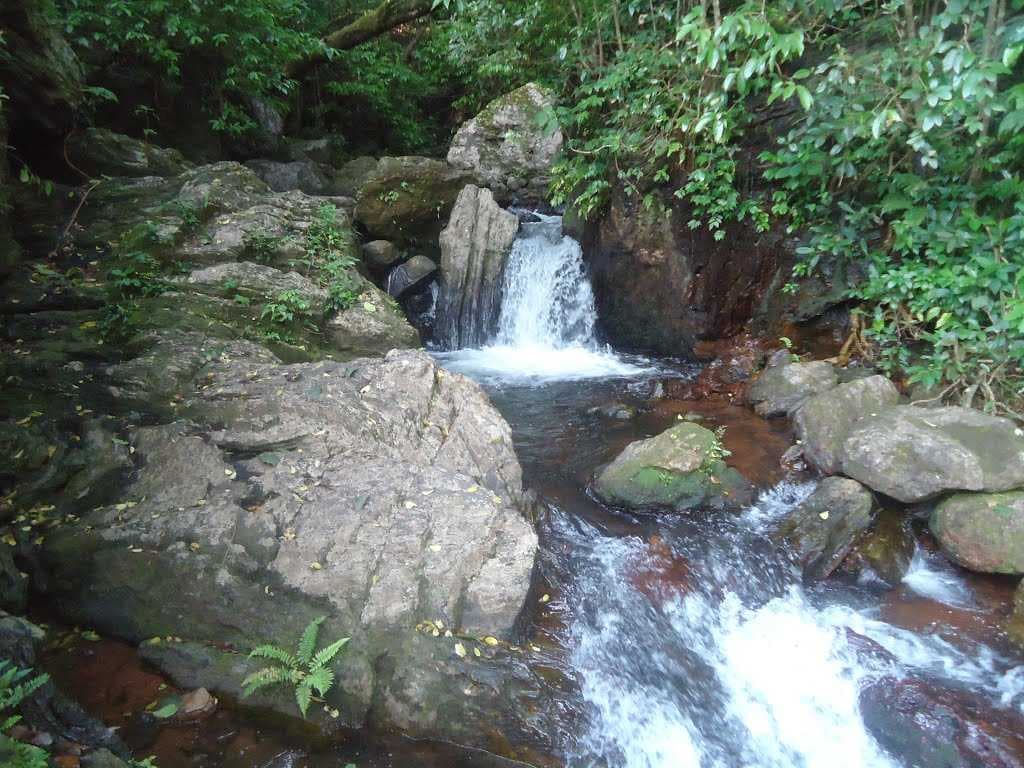 Bhadra Wildlife Sanctuary, Chickmagaluru, Karnataka 577101, India