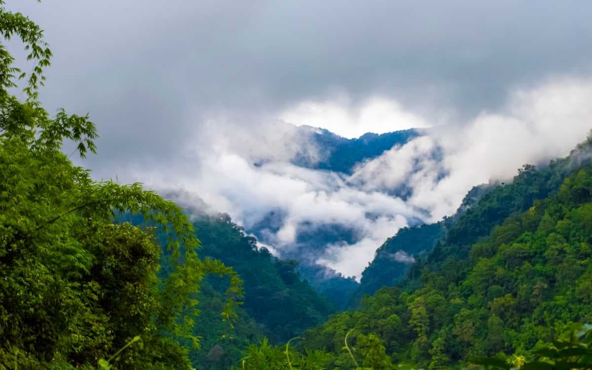 Picturesque View of Greenery in Khonsa Village