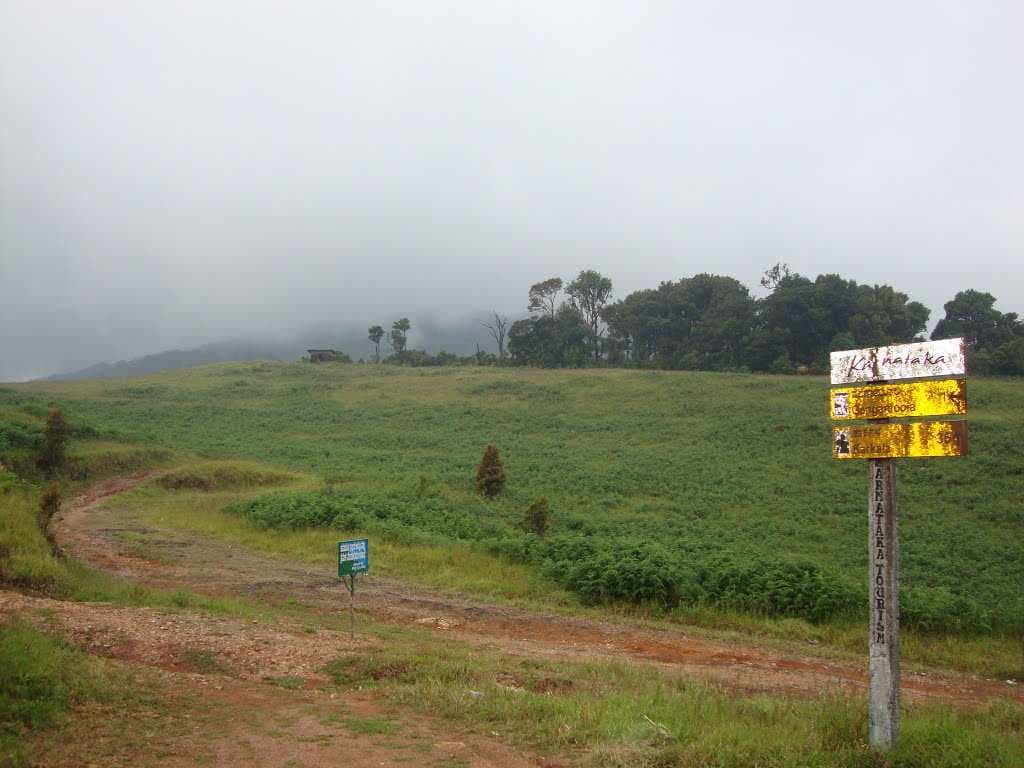 Gangamoola