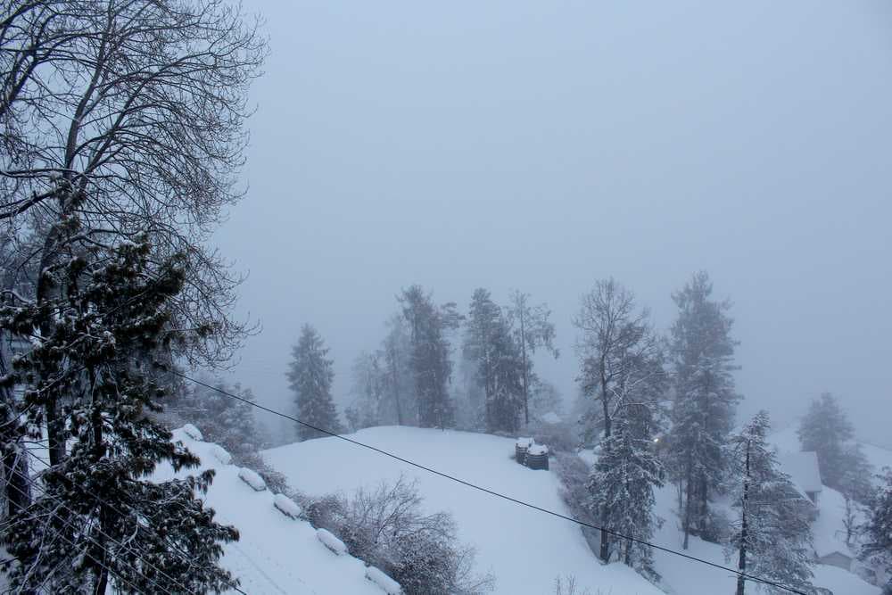Beautiful Kufri Covered with Snow