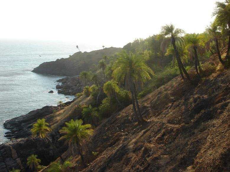 Om Beach