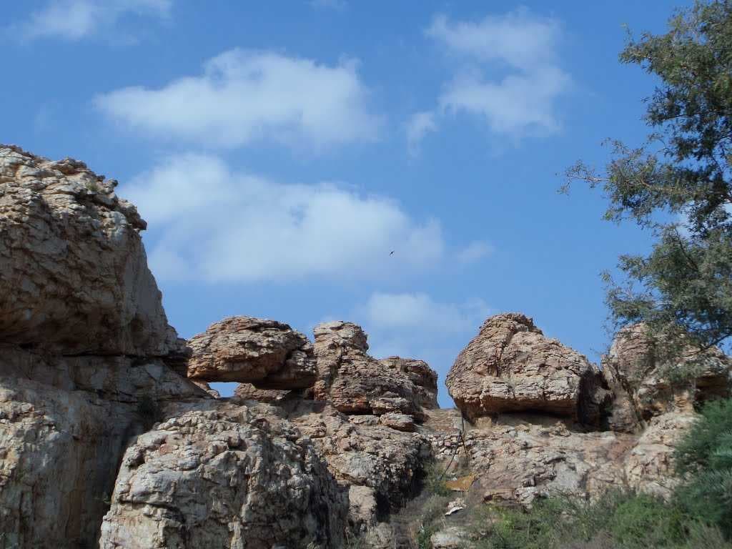 Oravakal Rock Garden - 1000 Acre Rock Garden in Kurnool
