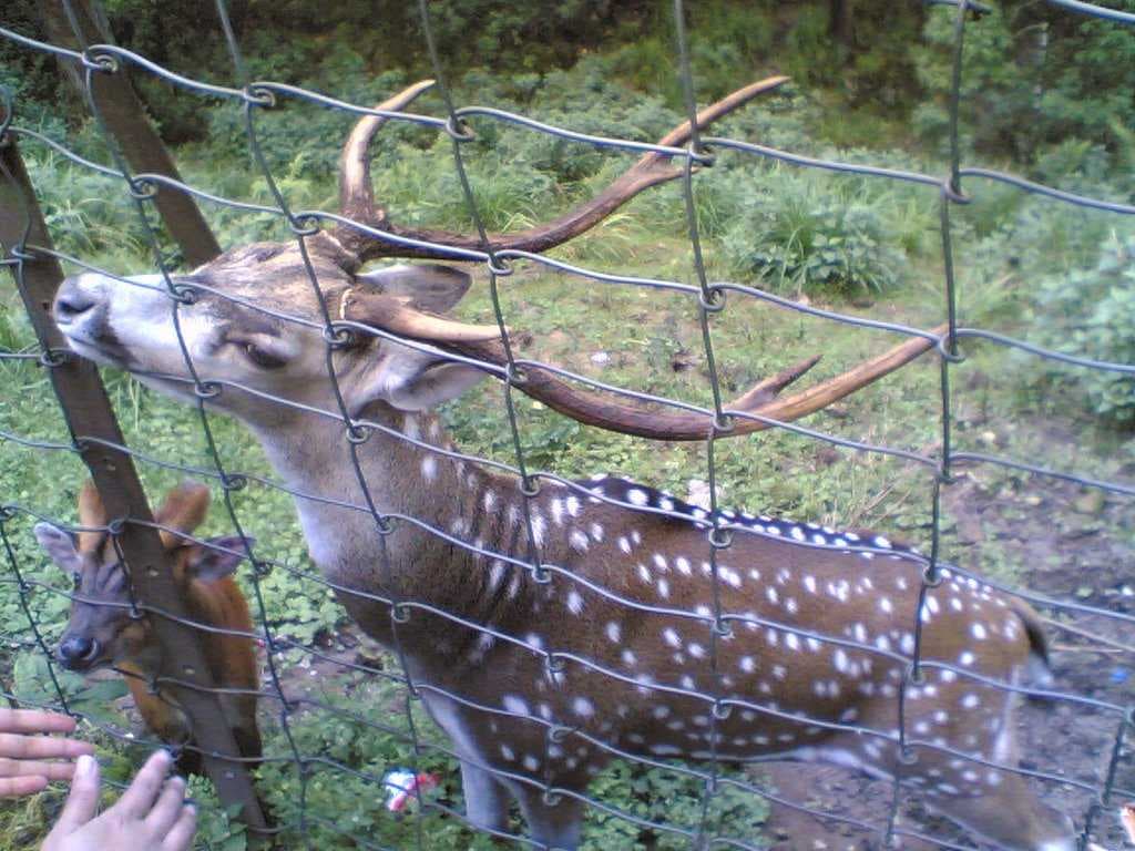Deer Park