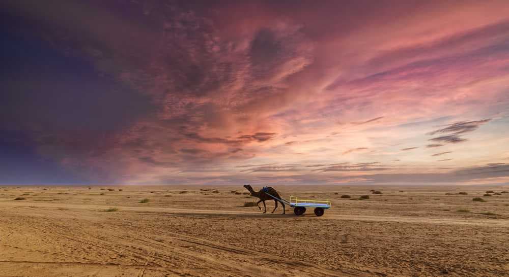 Kutch