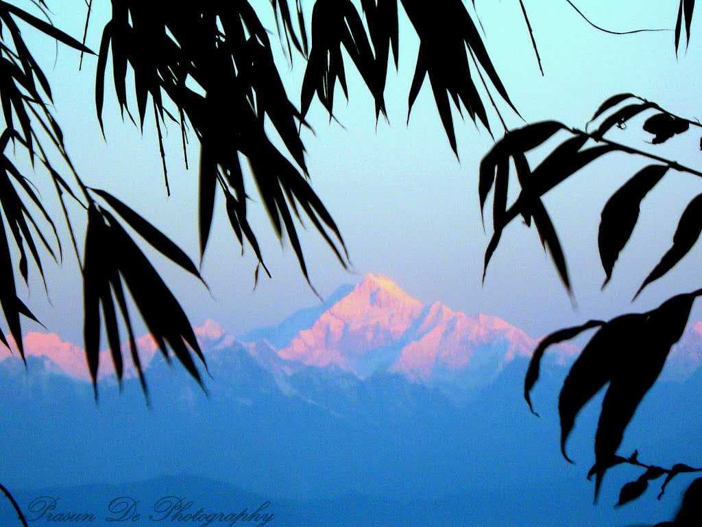 Jhandidara lo