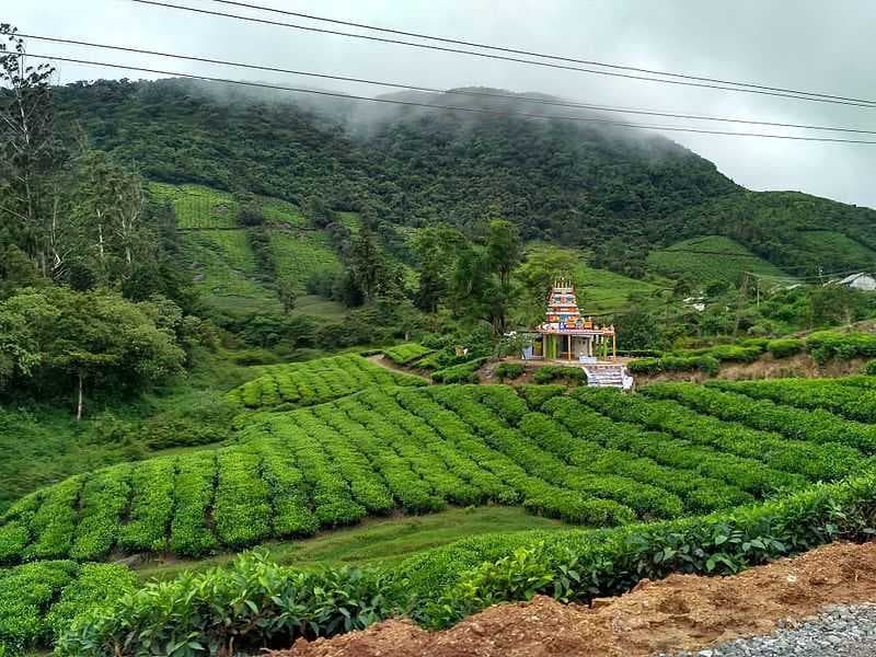 Meghamalai - Also Called as High Wavy Mountains Blessed with Beautiful Scenery