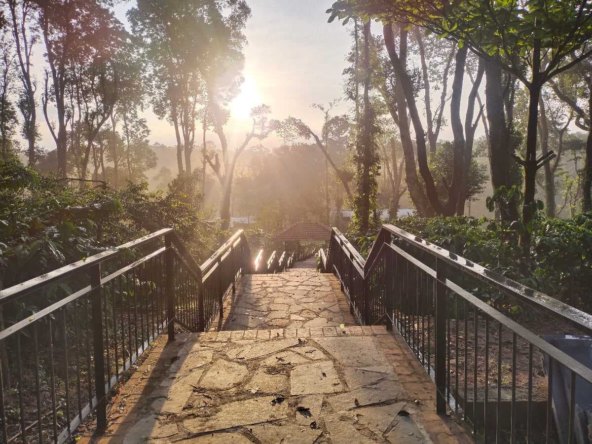 Mananthavady travel image
