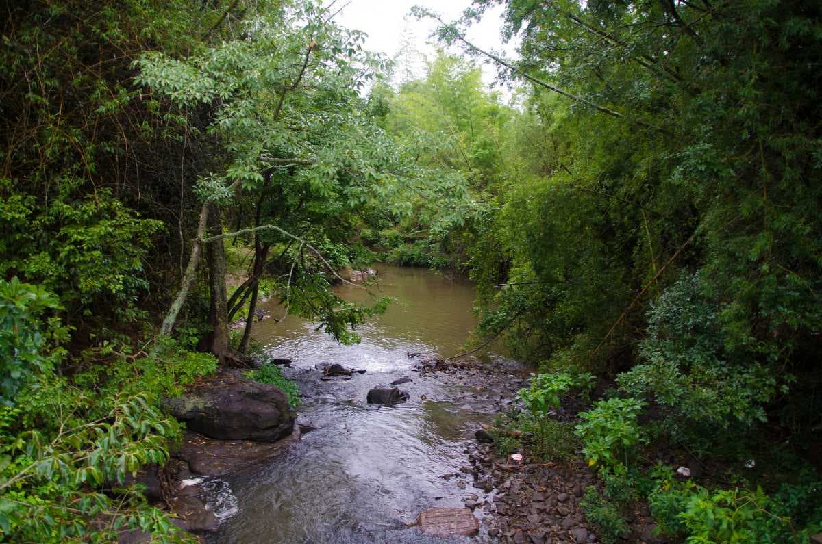 Hidden Lake Near Masinagudi