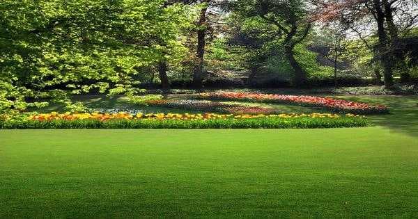 gandhi bagh