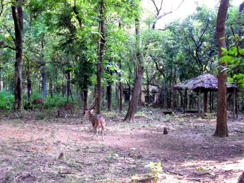 Deer Park