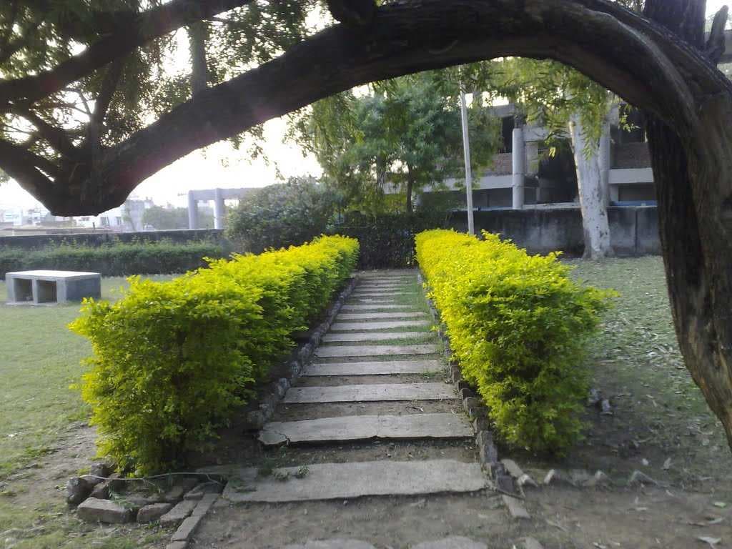 Nalagarh Park