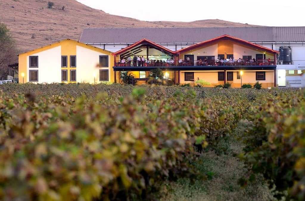 Sula Vine Yards - Most Popular Wineyards in Nashik