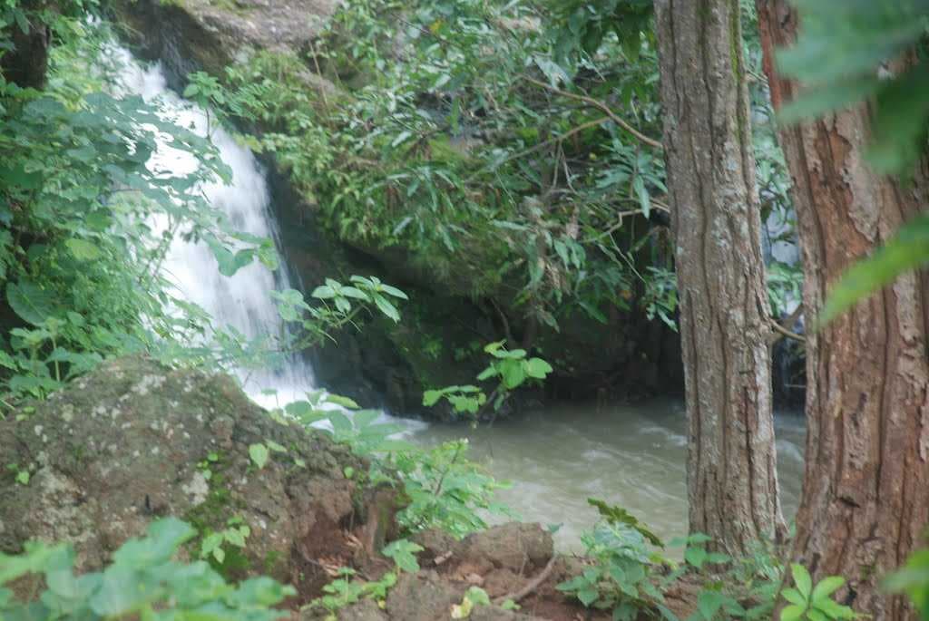 Netarhat