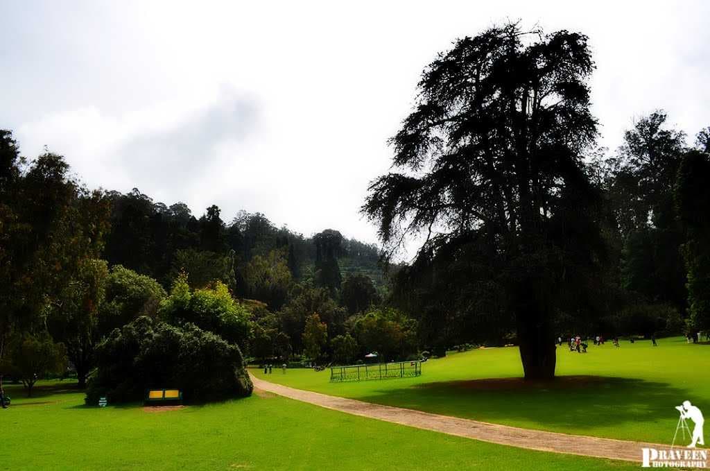 Ooty Botanical Gardens are divided into several sections, covering an overall area of around 55 hectares