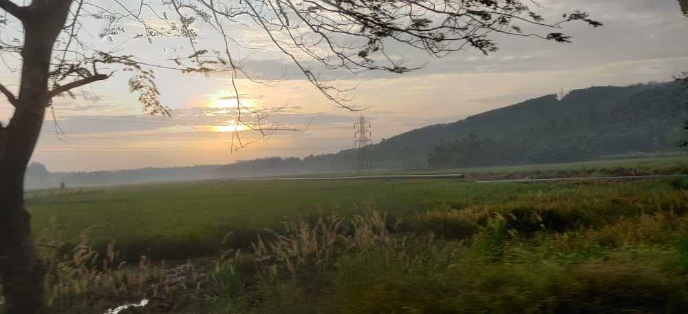 Scenic View of Palakkad, Kerala