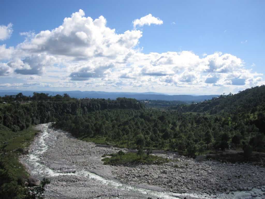 Palampur