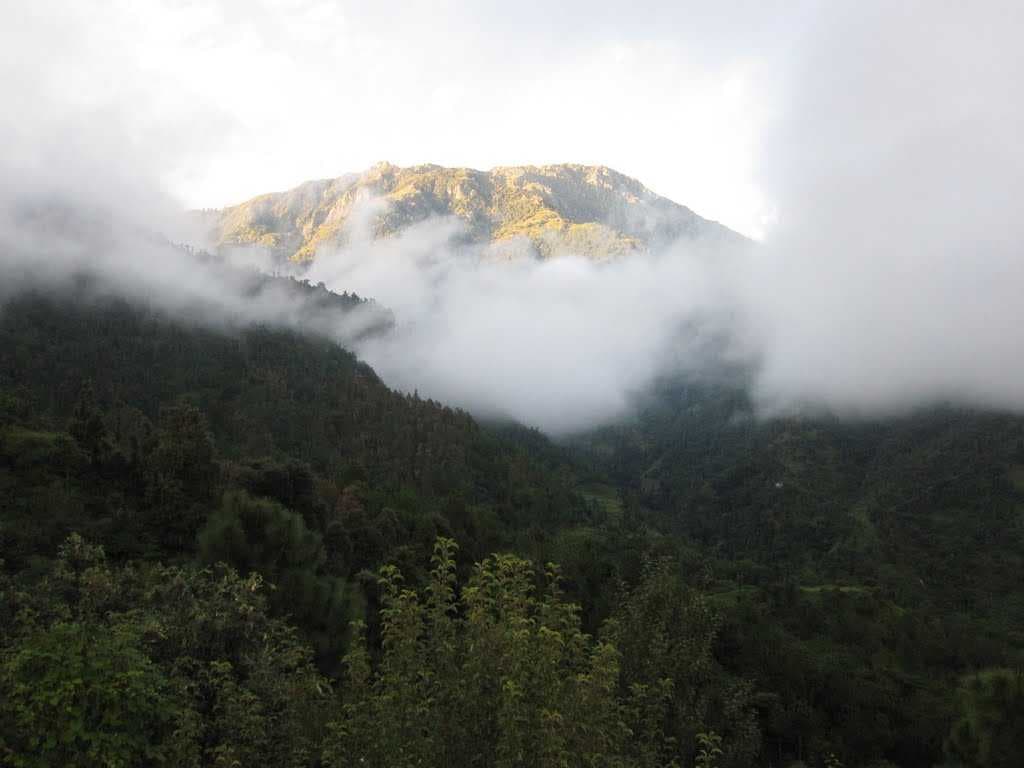 PALAMPUR