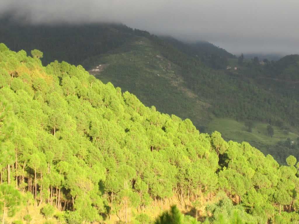 Palampur Himachal Pradesh
