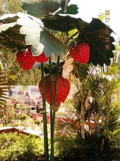 Mapro Garden