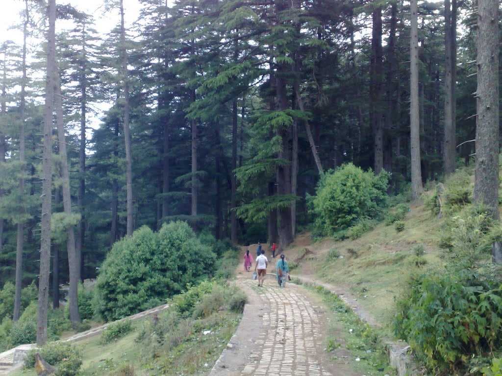 Nature Walks