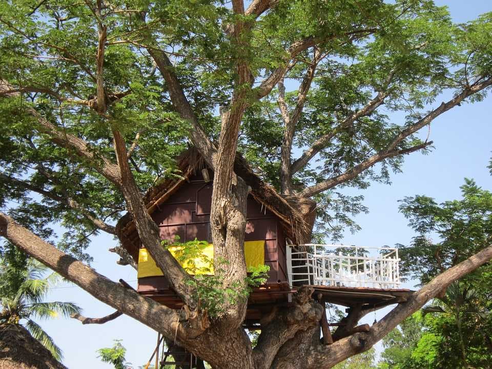 Pilibhit