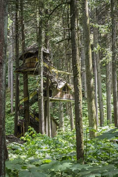 Treehouses  in Pilibhit