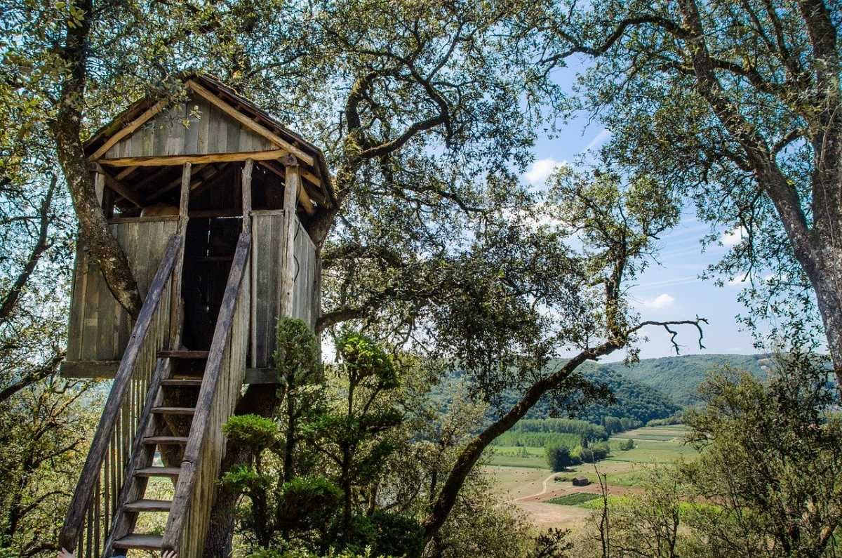 Treehouses  in Pilibhit