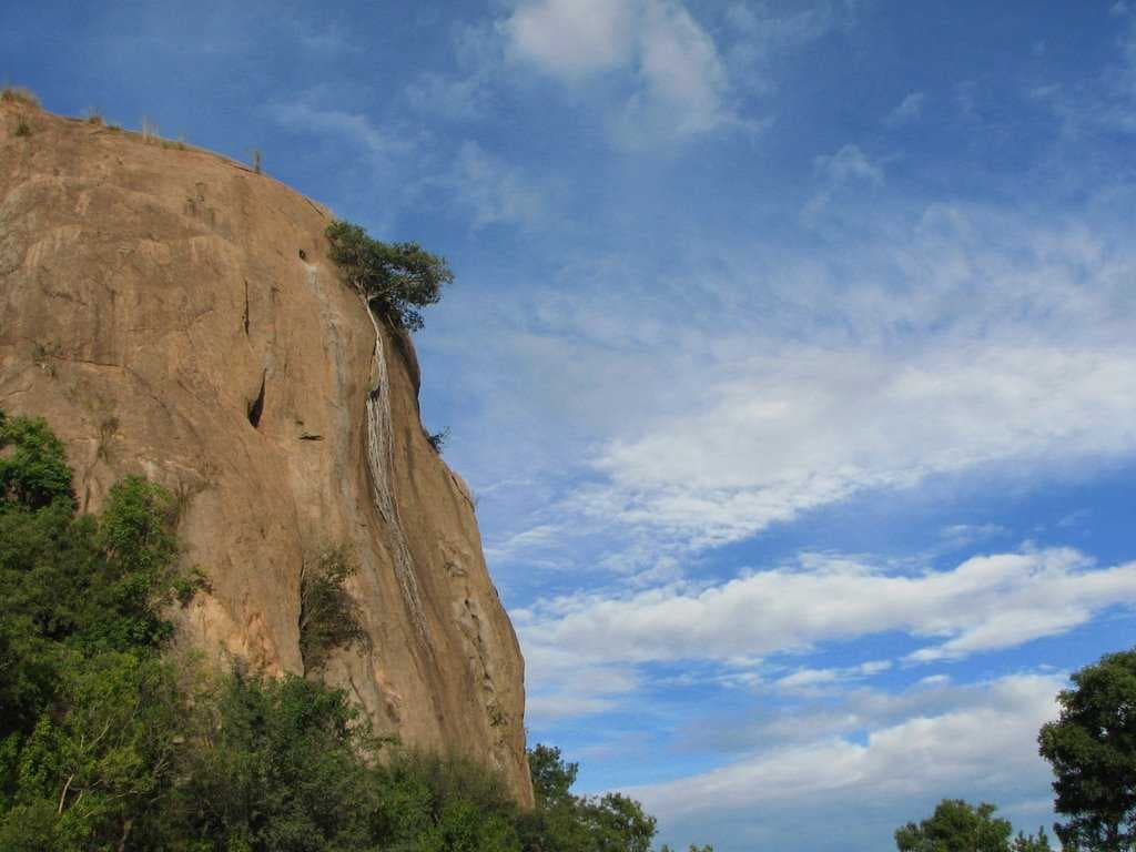 Clutching on... (Rocky Mountain near Sholay Spot, Ramanagaram)