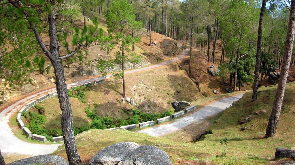 Sarna Garden road, Ranikhet