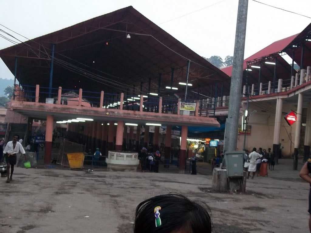 Sabarimala Ayappa Swamy Temple is one of the Largest Pilgrimages in the World