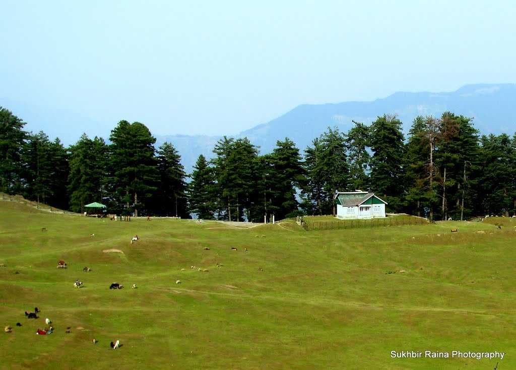 Golf course