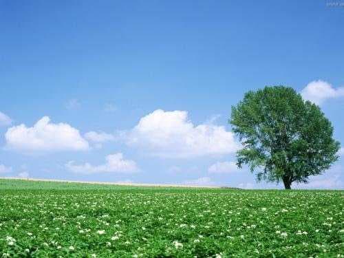 Other attractions in Siliguri