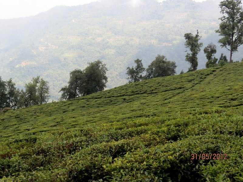 South Sikkim