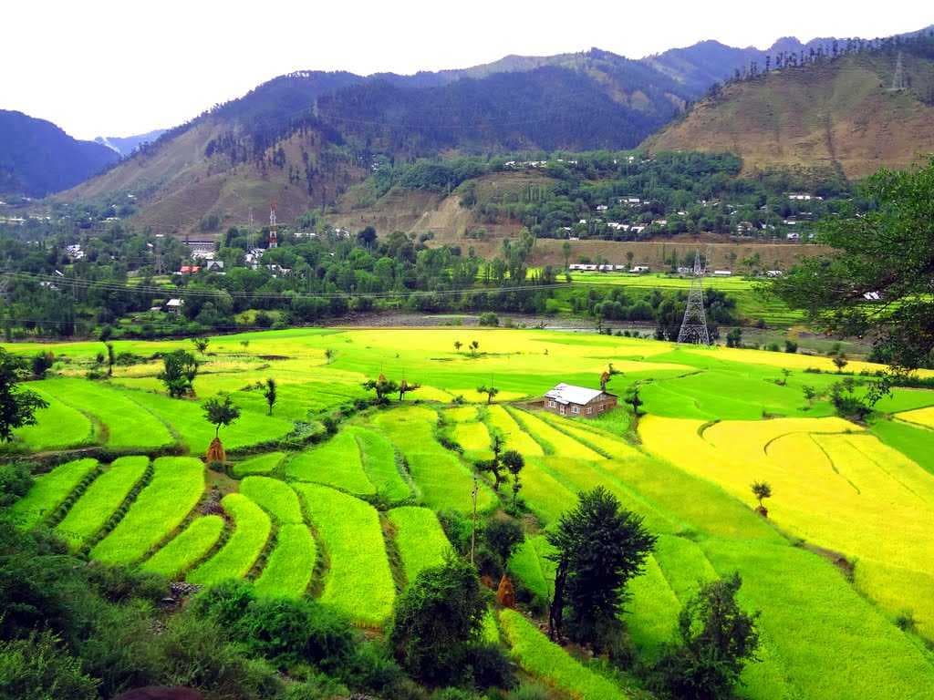 Baramulla