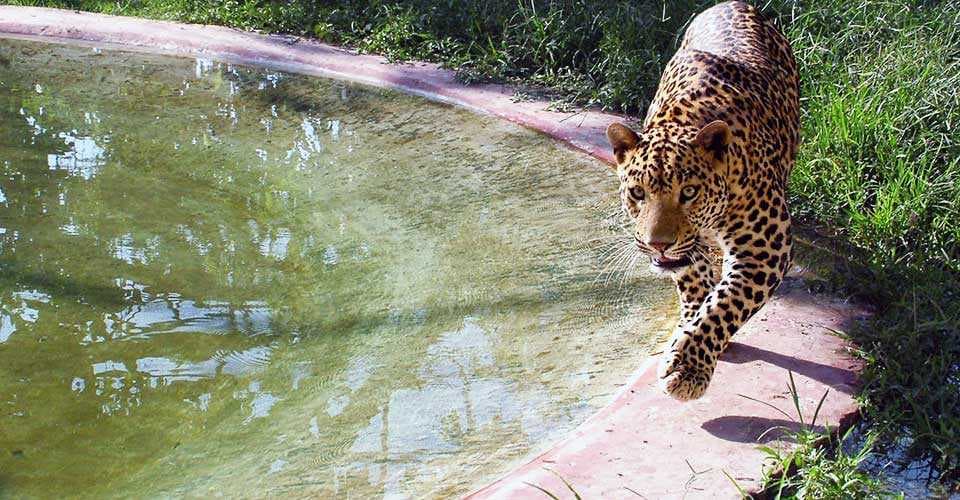 Sarthana Nature Park - Covers an Area of 80 Acres