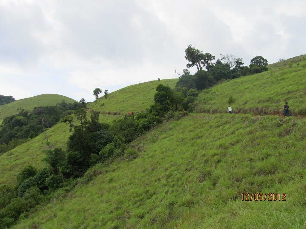 Pakshipathalam Bird Sanctuary
