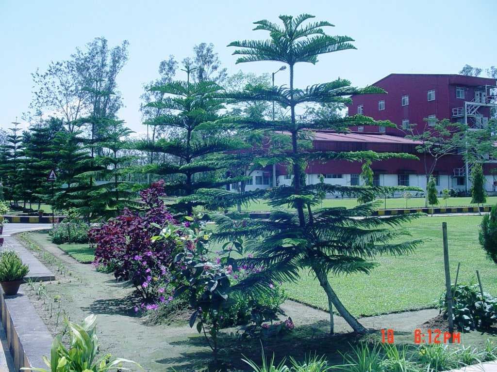 Tinsukia