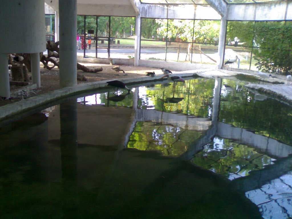 Sayaji Gardens