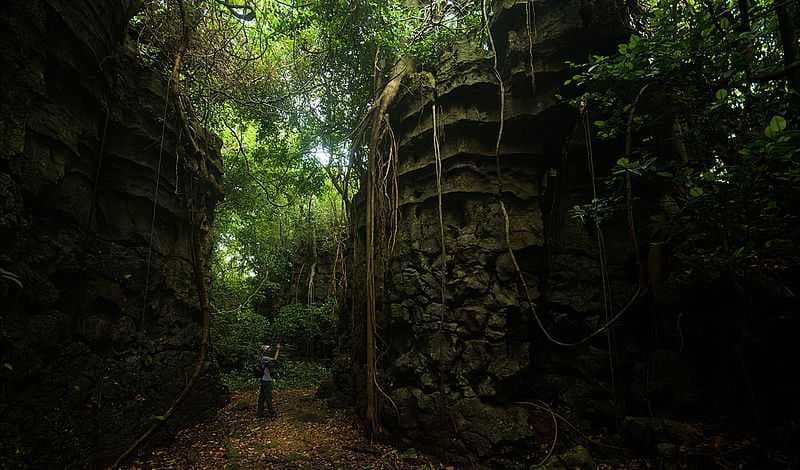 Limestone Formation Near Siju Caves