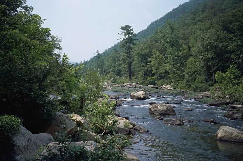 Scenic View of a River in Badaka Village, Williamnagar
