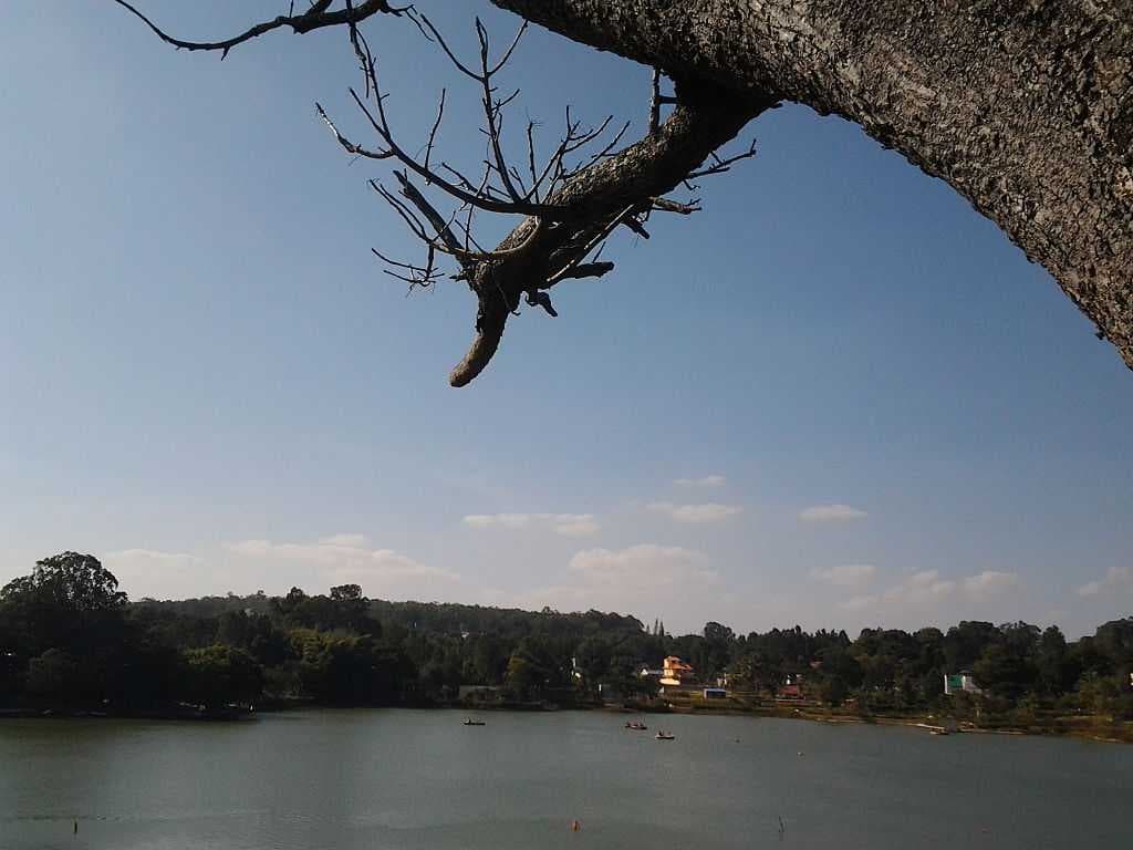Yelagiri travel image