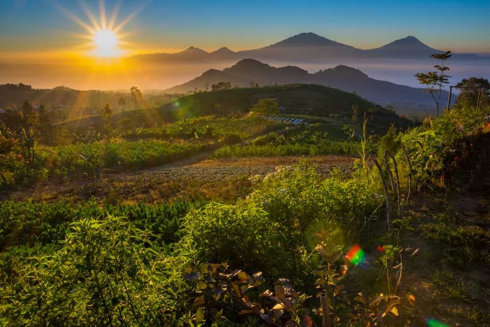 Mount Ungaran - Star Volcano at an elevation of 2050m