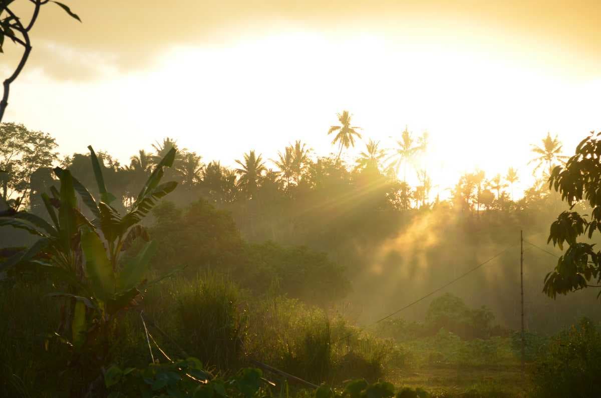 Sunrise in Ubud