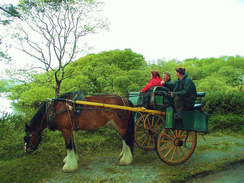 Tourists near Ross Castle