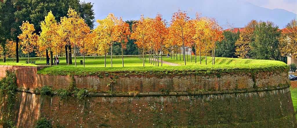 Autumn atop bastions