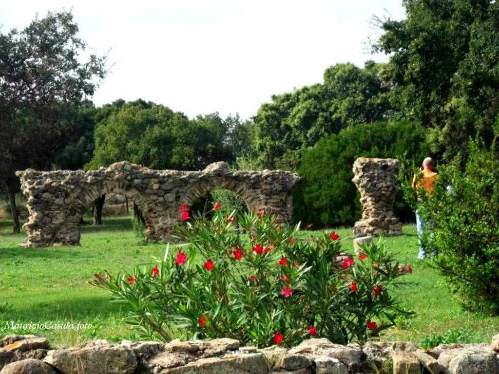 Olbia travel image