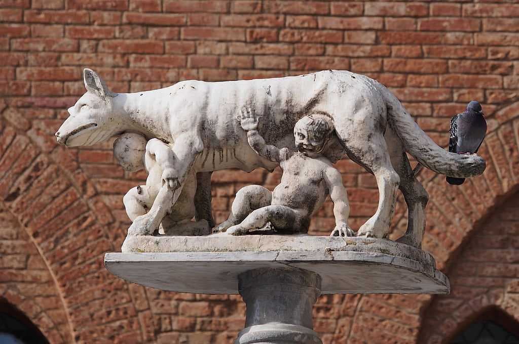 Capitoline Wolf at Siena Duomo. According to a legend Siena was founded by Senius and Aschius, two sons of Remus. When they fled Rome, they took the statue of She-wolf to Siena, which became a symbol of the town.